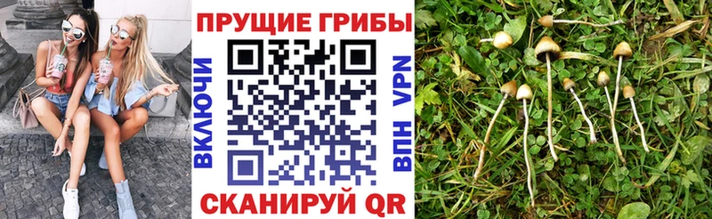 Псилоцибиновые грибы ЛСД  Гуково 