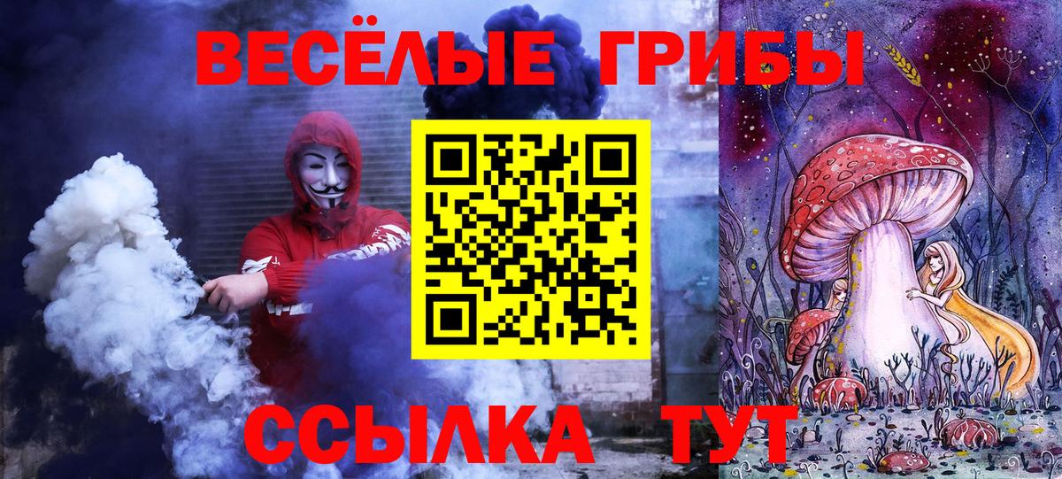 Псилоцибиновые грибы прущие грибы Гуково