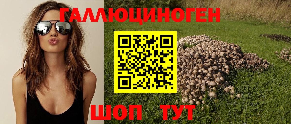 Галлюциногенные грибы Cubensis  Вход с VPN  Гуково 